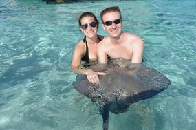 Stingrays