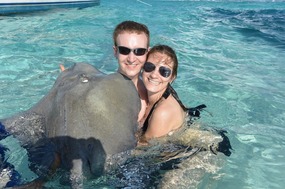 Stingrays