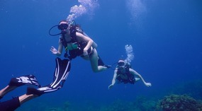 Scuba Diving