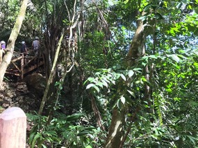 Zip lining