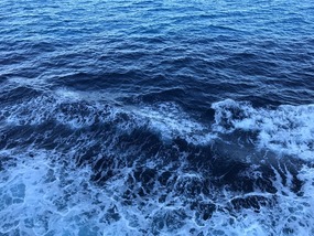 Flying fish out there