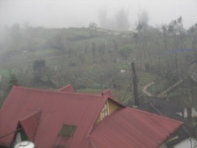 The Fog of Sapa & Home Sweet Alley Way