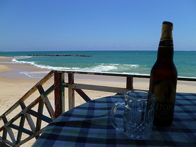 The view from my lunch table