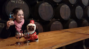 NANPUG is such a booze hound (at Offley Cellars)