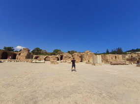 At the massive ruins of Carthage's Antoine Baths