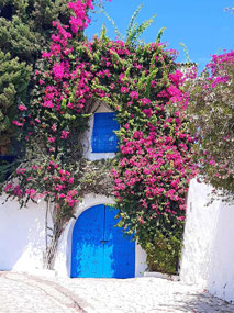 Lovely doorways of Sidi Bou Said