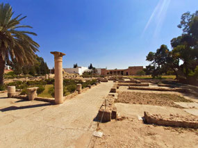 The Roman Forum of the 