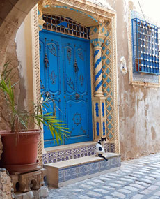 Kitty in the medina!