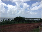 From the top