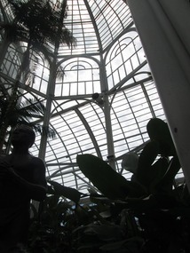 Curitiba botanical gardens