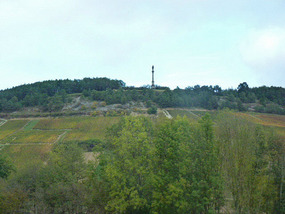 Champagne vineyards & statue  Notre Dame du Vignes