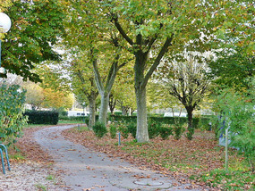 Campsite at Mijennes