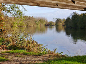 R Yonne nr campsite, Mijennes