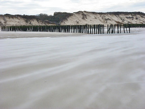 Blowing sand
