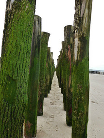 Modern coastal defences
