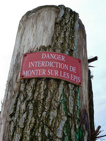 We didn't climb!