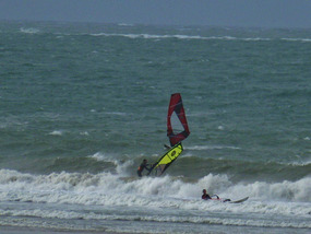 Windsurfer