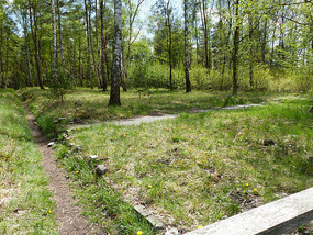Foundations of rare brick built hut
