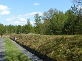 Looking along mass grave
