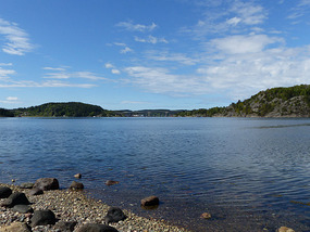View from site