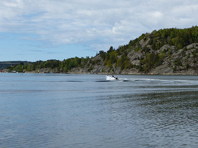 view from site