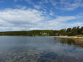 View from site