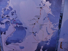 Polar expedition