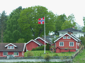 Constitution Day flags