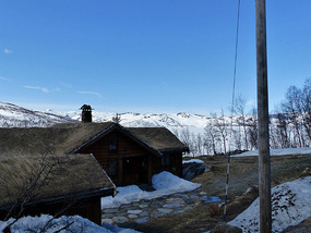 Grass roof