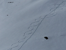 Snow board trails