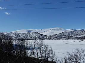 View from coffee spot