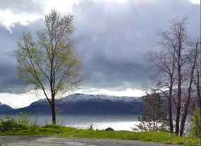 Hardanger fjord