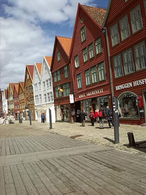 The bryggen-bergen