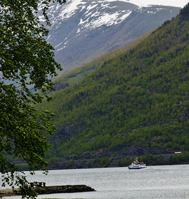 ferry
