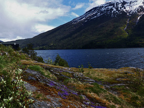 View