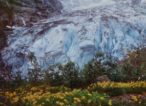 Kendalsbreen arm of glacier