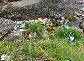 Rubbish on edge of lake