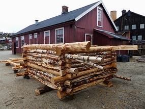 Birch hut
