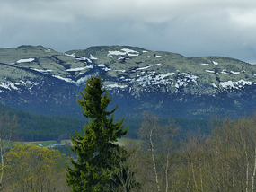 Lichen covered hills