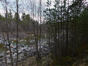 River by night stop