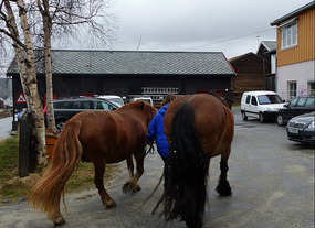 Such long tails