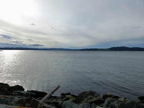 View from site