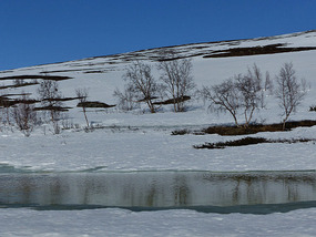 Icy pond