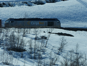very long distance goods train