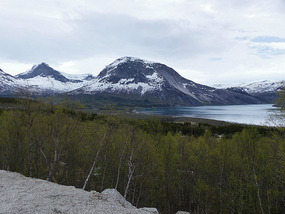 Fjord view