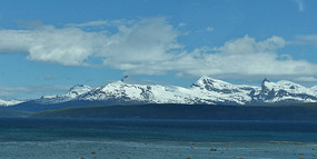Long view