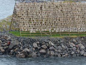 Cod racks