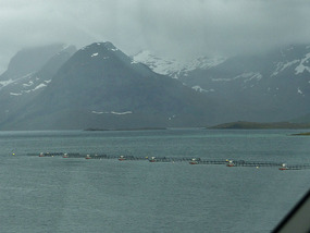 Fish farms