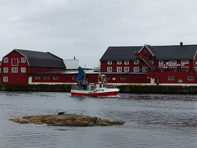Henningsvaer