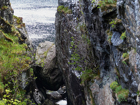 Rock in gorge